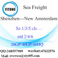 /msite/products/detail/productid/47810287/id/186924.html
